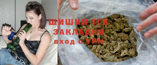 эйфоретик Заречный