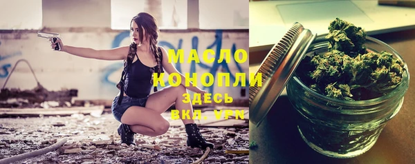 крисы Няндома