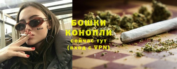 прущие грибы Нефтекумск