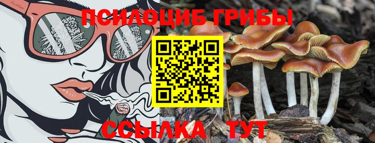 NBOMe  Вход с VPN  Бошки Шишки  LSD-25  ГАШИШ  Cocaine  Зеленодольск  МЕФ кристаллы 