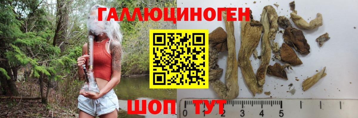 Зеленодольск  Псилоцибиновые грибы Magic Shrooms  Вход с VPN 